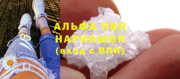 гидра Алексин