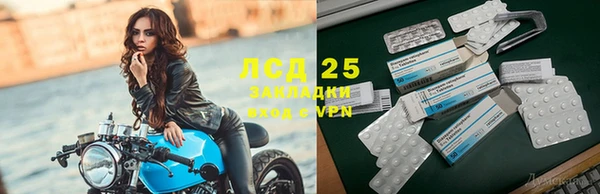 гидра Алексин