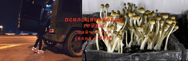 МДПВ Алексеевка