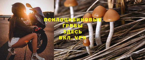 МДПВ Алексеевка