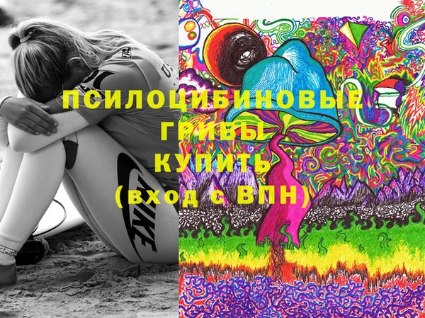 МДПВ Алексеевка