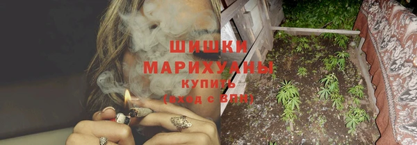 PSILOCYBIN Новодвинск